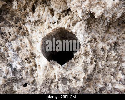 Der Devil's Golf Course, eine große Salzpfanne gefüllt mit Halogensalzkristall, Death Valley National Park, Kalifornien, USA. Stockfoto