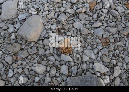 Sandstein und Kalkstein Stockfoto