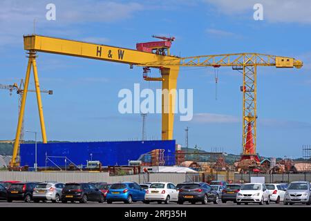 Harland und Wolff Yellow Cranes, in der Werft, Samson & Goliath, Queen's Island, Belfast, Nordirland, Vereinigtes Königreich, BT3 9EU Stockfoto
