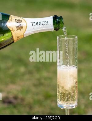 Champagner Im Freien Stockfoto