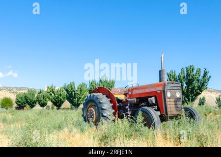 Klassischer roter massey ferguson-Traktor auf dem Feld im Tropischen Utah Stockfoto