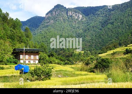 Bhutanesisches Haus mit Holzarbeiten und Gemälden in traditionellem architektonischem Stil inmitten terrassenförmiger Reisfelder neben bewaldeten Bergen im ländlichen Bhutan Stockfoto