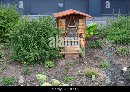 Köln, Deutschland. 30. Juli 2023. Insektenfreundliches Bett mit Insektenhotel. Kredit: Horst Galuschka/dpa/Alamy Live News Stockfoto