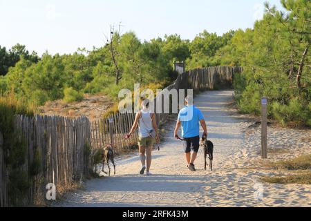 Ehepaar en Promenade avec leurs chiens à la pointe du Cap Ferret sur le Bassin d’Arcachon, Gironde, Nouvelle Aquitaine, Frankreich, Europa Stockfoto