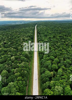 Luftdrohnenansicht der Natur in Moldawien. Die Straße führt durch einen üppigen, weiten, grünen Wald Stockfoto