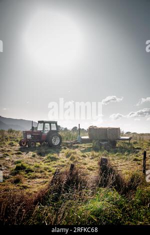 Ein Bild eines alten Traktors, der auf einem Feld mit der Sonne dahinter sitzt. Stockfoto