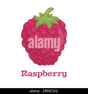 Himbeere mit Blattvektorsymbol. Raspberry Icon Clipart. Ein Himbeerfilm Stock Vektor