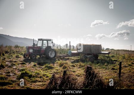 Ein Bild eines alten Traktors, der auf einem Feld mit der Sonne dahinter sitzt. Stockfoto