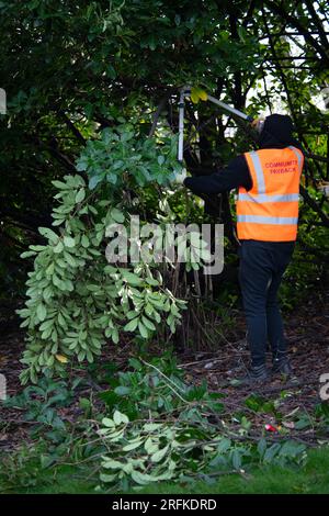 Eine gemeinnützige Rache-Gruppe räumt ein überwachsenes Stück Land Stockfoto