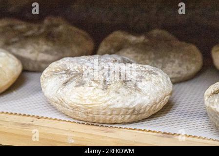 Die Gourmet-Reise Mit Handwerklich Hergestelltem Käse Stockfoto