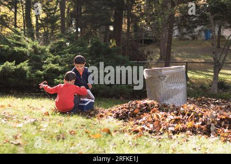 Junge Jungs, die einen Haufen goldener Blätter im Grasgarten harken. Stockfoto