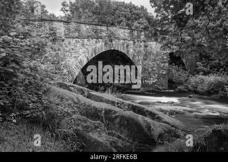 Der Fluss Brathay fließt unter der Skelwith Bridge Stockfoto