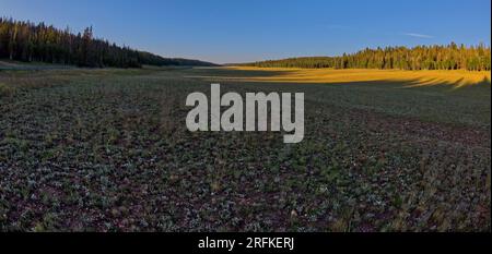 Pleasant Valley am Nordrand des Grand Canyon Stockfoto