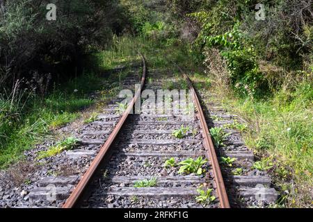 Stillgelegte Eisenbahn in der Nähe von Whangamomona, North Island, Neuseeland Stockfoto