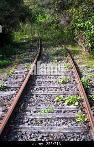 Stillgelegte Eisenbahn in der Nähe von Whangamomona, North Island, Neuseeland Stockfoto