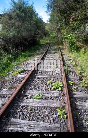 Stillgelegte Eisenbahn in der Nähe von Whangamomona, North Island, Neuseeland Stockfoto