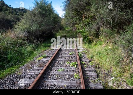 Stillgelegte Eisenbahn in der Nähe von Whangamomona, North Island, Neuseeland Stockfoto