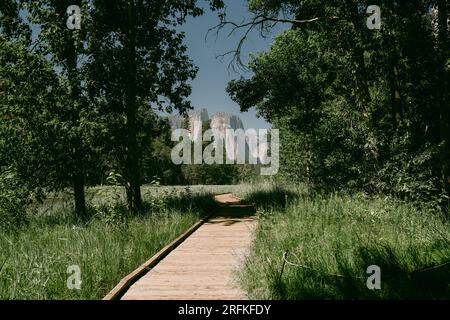 Holzsteg im Yosemite Valley, Kalifornien Stockfoto