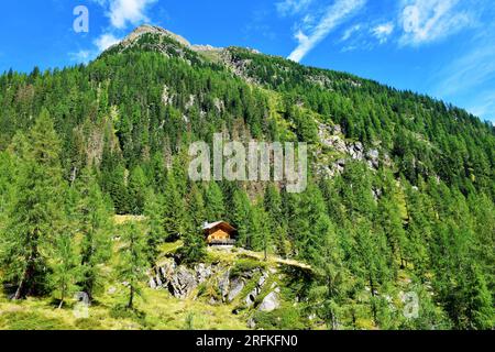 Berg bedeckt von Koniferenlarche und Fichtenwald mit einer Holzhütte im Gradental Valley in der Schober-Gruppe Unterkategorie von Hohe Tauern in Zentral-Easte Stockfoto