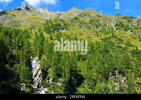 Gebirge über dem Gradental-Tal und ein Wasserbalg in einem Nadellarchenwald im Untergebiet der Schober-Gruppe von Hohe Tauern in Zentral-EA Stockfoto