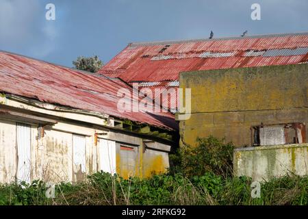 Taranaki, Nordinsel, Neuseeland Stockfoto