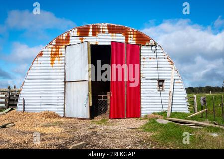 Halbrunde Scheune, Taranaki, Nordinsel, Neuseeland Stockfoto