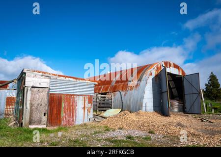 Halbrunde Scheune, Taranaki, Nordinsel, Neuseeland Stockfoto