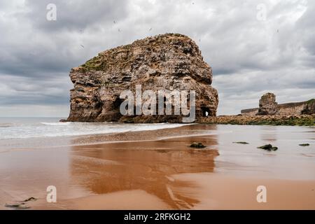 Marsden Rock in South Shields Stockfoto