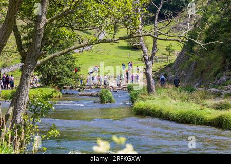Dovedale und River Dove. Ein beliebter Ausflug entlang des wunderschönen Flusses Dove zu den berühmten Stepping Stones am Fuße von Thorpe Cloud. Stockfoto