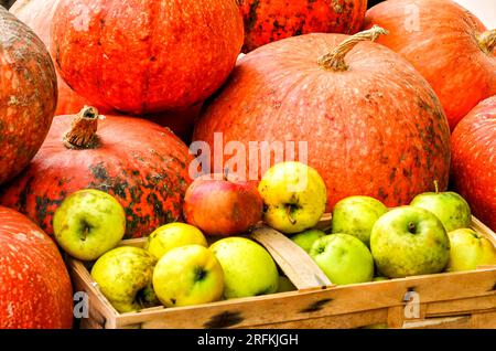 Kürbisse und Äpfel auf einem Markt in Spreewald im Herbst Stockfoto