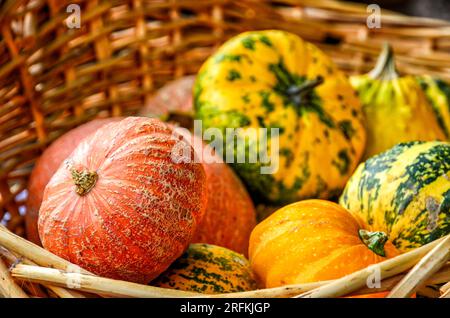 Kürbisse auf einem Markt in Spreewald im Herbst Stockfoto