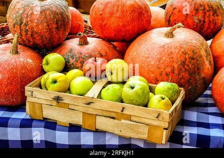 Kürbisse und Äpfel auf einem Markt in Spreewald im Herbst Stockfoto