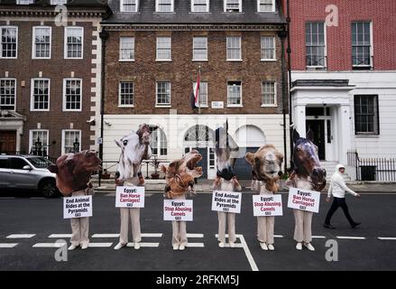 Aktivisten von PETA mit „Hufen“ und riesigen Pferd- und Kamelmasken demonstrieren vor der ägyptischen Botschaft in London, um die ägyptische Regierung zu drängen, den Einsatz von Pferden und Kamelen zu verbieten, um Touristen an den Pyramiden in Ägypten zu transportieren. Foto: Freitag, 4. August 2023. Stockfoto