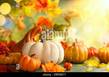 Festliche Herbsteinrichtung mit Kürbissen, Beeren und Blättern. Konzept für Thanksgiving oder Halloween mit Kopierbereich Stockfoto