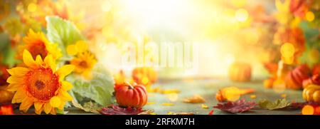 Im Herbst werden Sonnenblumen, Kürbisse und Herbstblätter zu einem festlichen Erlebnis. Konzept für Thanksgiving oder Halloween mit Kopierbereich Stockfoto