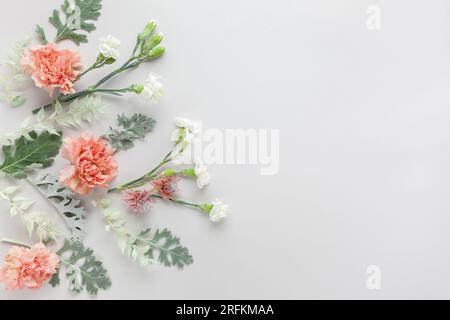 Blütenzusammensetzung aus Korallenkarnation und silbergrünen Blättern von Senecio cineraria auf pastellgrauem Hintergrund. Naturkonzept, Kopierraum, flach l Stockfoto