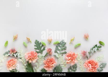 Blütenzusammensetzung aus Korallenkarnation und silbergrünen Blättern von Senecio cineraria auf pastellgrauem Hintergrund. Naturkonzept, Kopierraum, flach l Stockfoto