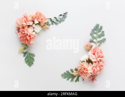 Blütenzusammensetzung aus Korallenkarnation und silbergrünen Blättern von Senecio cineraria auf pastellgrauem Hintergrund. Naturkonzept, Kopierraum, flach l Stockfoto