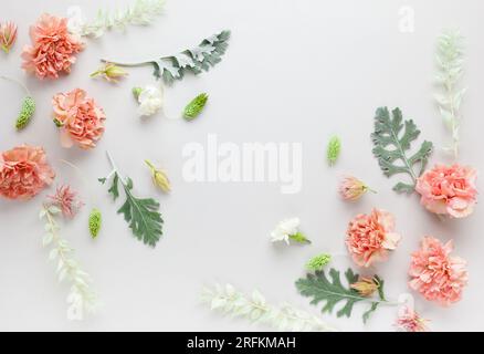 Blütenzusammensetzung aus Korallenkarnation und silbergrünen Blättern von Senecio cineraria auf pastellgrauem Hintergrund. Naturkonzept, Kopierraum, flach l Stockfoto