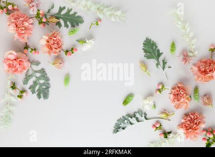 Blütenzusammensetzung aus Korallenkarnation und silbergrünen Blättern von Senecio cineraria auf pastellgrauem Hintergrund. Naturkonzept, Kopierraum, flach l Stockfoto