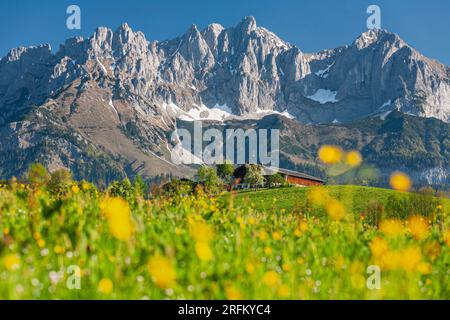 Altes Bauernhaus, Kaiser Berge, Blick von Süden, Kaiserwinkl, Tirol, Österreich Stockfoto