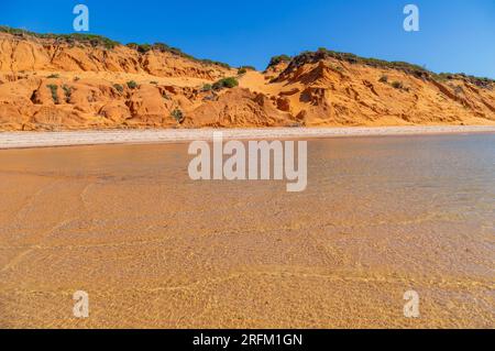 Unberührter Strand auf Inhaca Island vor Maputo, Mosambik Stockfoto