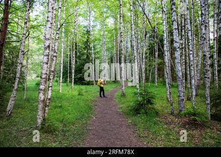 Touristen auf einem spektakulären Hüpassaare Wanderweg durch den atemberaubenden Wald zum Kuresoo Moor an einem wunderschönen Sommertag im Soomaa-Nationalpark, Estland Stockfoto