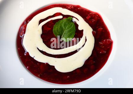 Red Groats Fruit Jelly and Berry Dessert and Vanilla Sauce Hamburg Style oder Hamburger Rote Grutze mit Vanillesauce Stockfoto