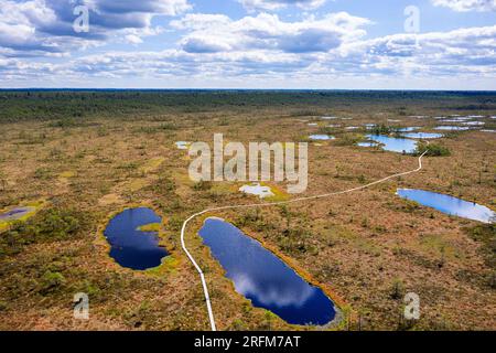 Ein spektakulärer Hüpassaare-Wanderweg zum Kuresoo-Moor an einem wunderschönen Sommertag im Soomaa-Nationalpark Estland aus der Vogelperspektive Stockfoto