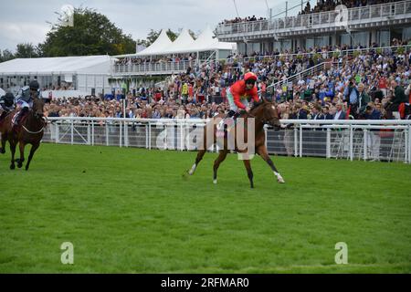 Goodwood, Großbritannien. 4. August 2023. Highfield Princess, geritten von Jason Hart, gewinnt die King George Qatar Stakes 15,35 auf der Goodwood Racecourse, Großbritannien. Kredit: Paul Blake/Alamy Live News. Stockfoto