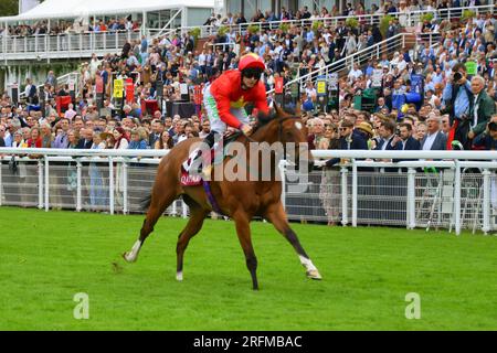 Goodwood, Großbritannien. 4. August 2023. Highfield Princess, geritten von Jason Hart, gewinnt die King George Qatar Stakes 15,35 auf der Goodwood Racecourse, Großbritannien. Kredit: Paul Blake/Alamy Live News. Stockfoto