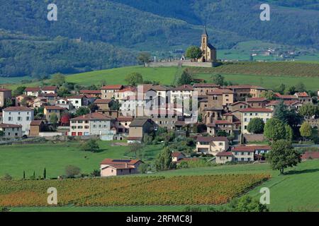 Frankreich, Rhône (69), Saint-Laurent-d'Oingt, Val d'Oingt, Village du vignoble Beaujolais, Village les Pierres Dorées / France,Rhône Saint-Laurent-d'Oingt, Val d'Oingt, Village of the Beaujolais Vineyard, Village les Pierres Dorées Stockfoto