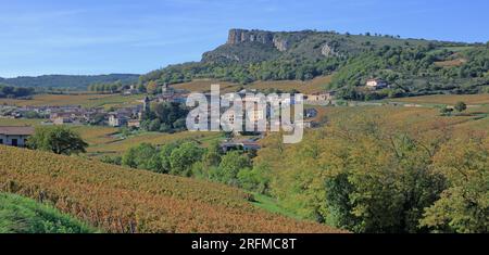 Frankreich, Saône-et-Loire (71), Solutré-Pouilly, le Village et la roche de Solutré vue depuis le vignoble Pouilly-Fuissé / Frankreich, Saône-et-Loire Solutré-Pouilly, das Dorf und der Felsen von Solutré aus dem Weinberg Pouilly-Fuissé Stockfoto