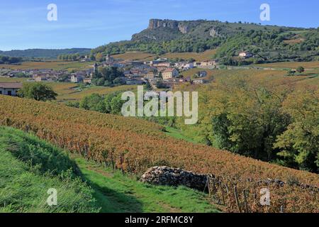 Frankreich, Saône-et-Loire (71), Solutré-Pouilly, le Village et la roche de Solutré vue depuis le vignoble Pouilly-Fuissé / Frankreich, Saône-et-Loire Solutré-Pouilly, das Dorf und der Felsen von Solutré aus dem Weinberg Pouilly-Fuissé Stockfoto